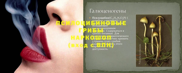 меф Белокуриха