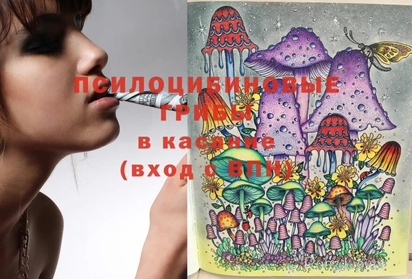 меф Белокуриха