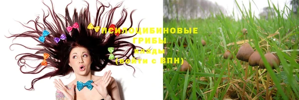 меф Белокуриха