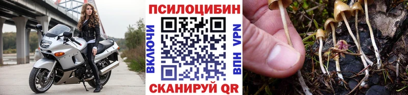 купить наркотики сайты  Старица  Псилоцибиновые грибы Psilocybe 